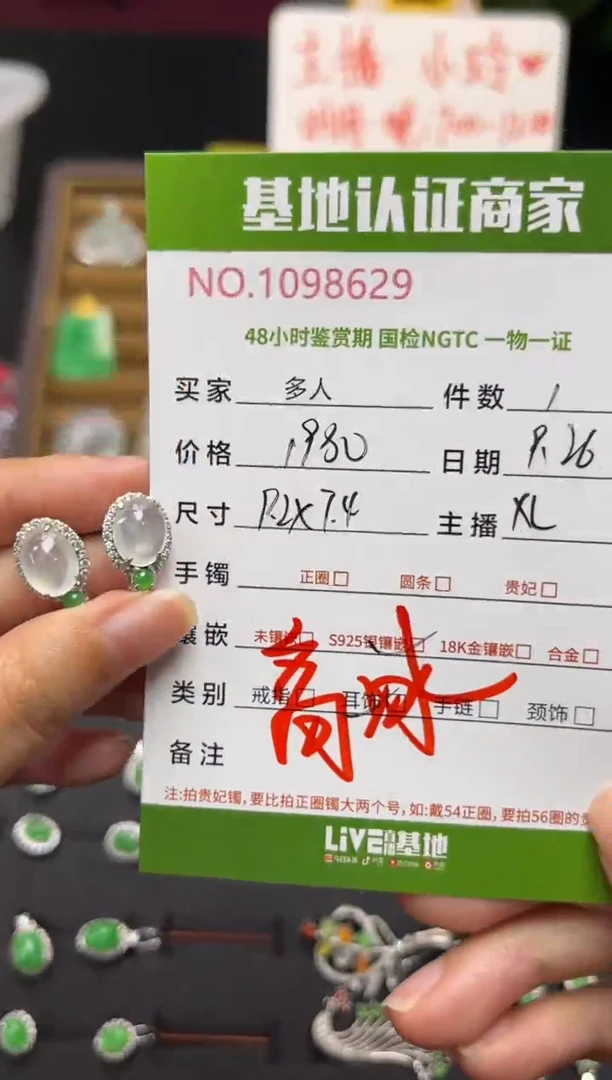 银S925镶嵌翡翠耳饰多人