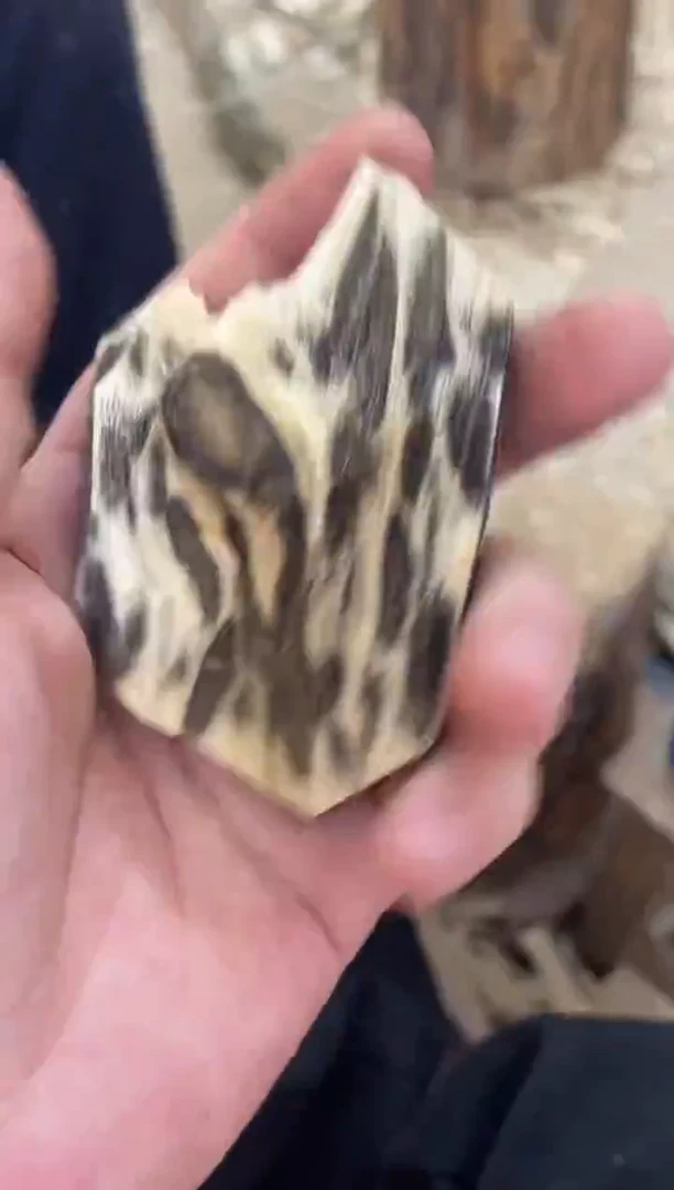 沉香沉香碎屑棋楠沉香 原料文创1