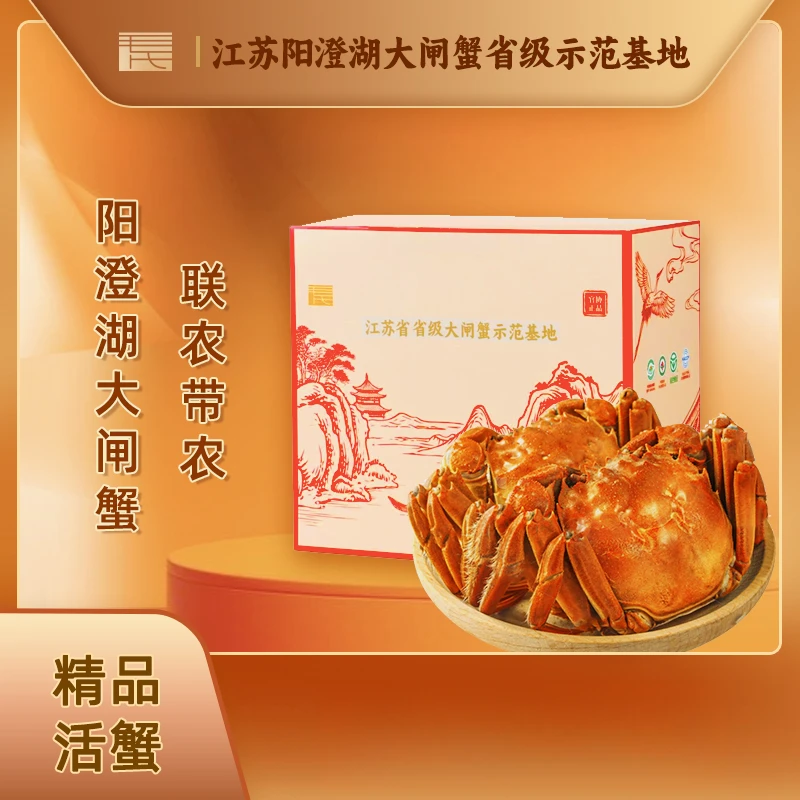 【活蟹】阳澄湖大闸蟹 全母蟹3.5两6只顺丰包邮  活水塘养