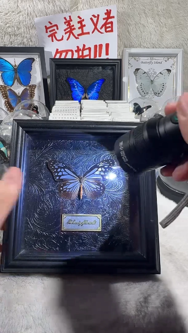 木黑纹理绢斑蝶6寸相框