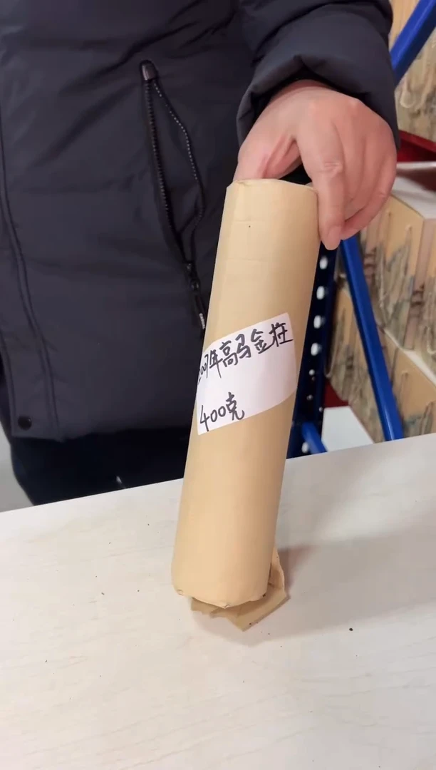 高马二溪 2007年高马金柱茯砖茶400克