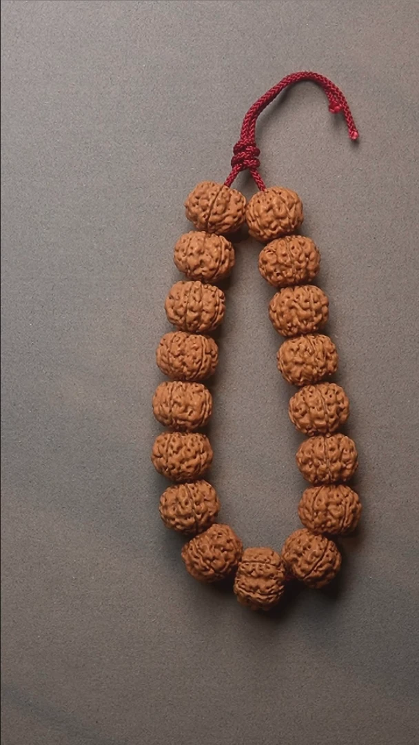 金刚菩提手串03号云端级霸王花手串18mm