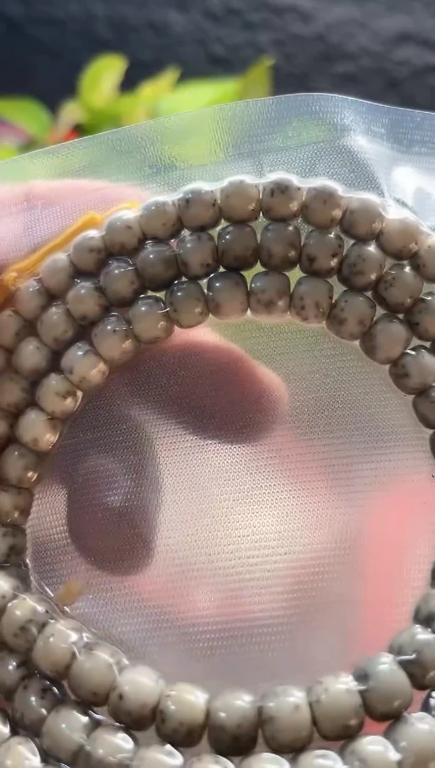 星月菩提吊坠海南星月菩提《Y50》7X6长串