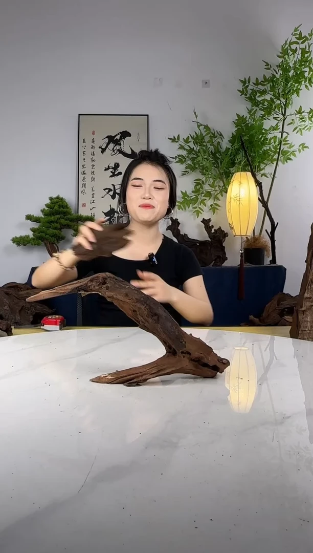 金*拍这个定向编号15