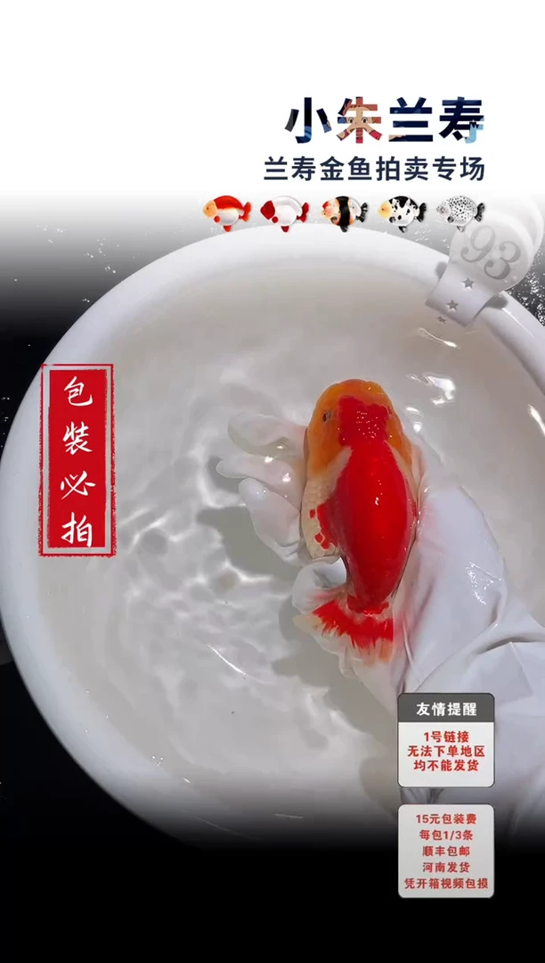 金鱼包装必拍未拍顺丰到付93号