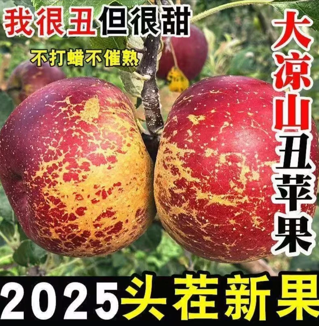 TK四川大凉山丑苹果盐源产地新鲜采摘脆甜多汁应季水果