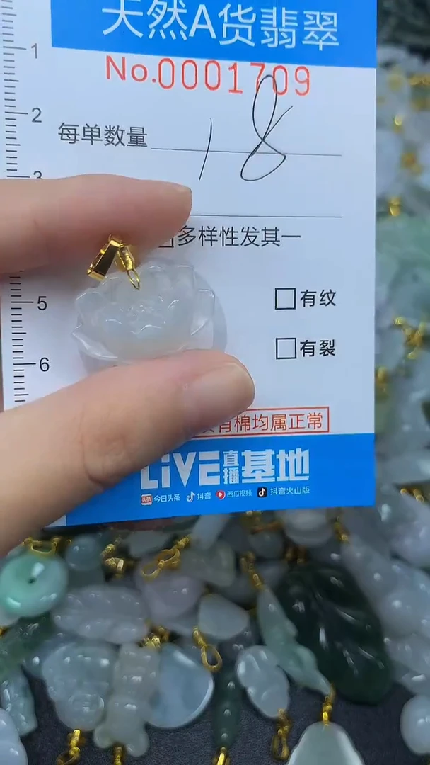 颈饰未镶嵌翡翠净货挂件-1709