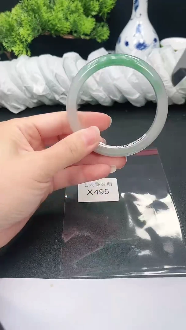 未镶嵌手镯翡翠495
