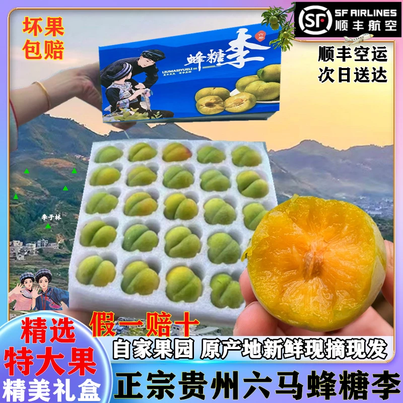 正宗贵州六马蜂糖李假一赔十新鲜孕妇水果脱骨李子顺丰空运包邮