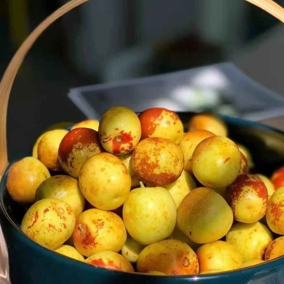 【顺丰包邮】 沾化短枝二代冬枣嘎嘣脆甜净2.2/4.4斤左右（仅南京）