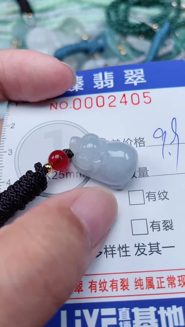 翡翠未镶嵌颈饰.0002405