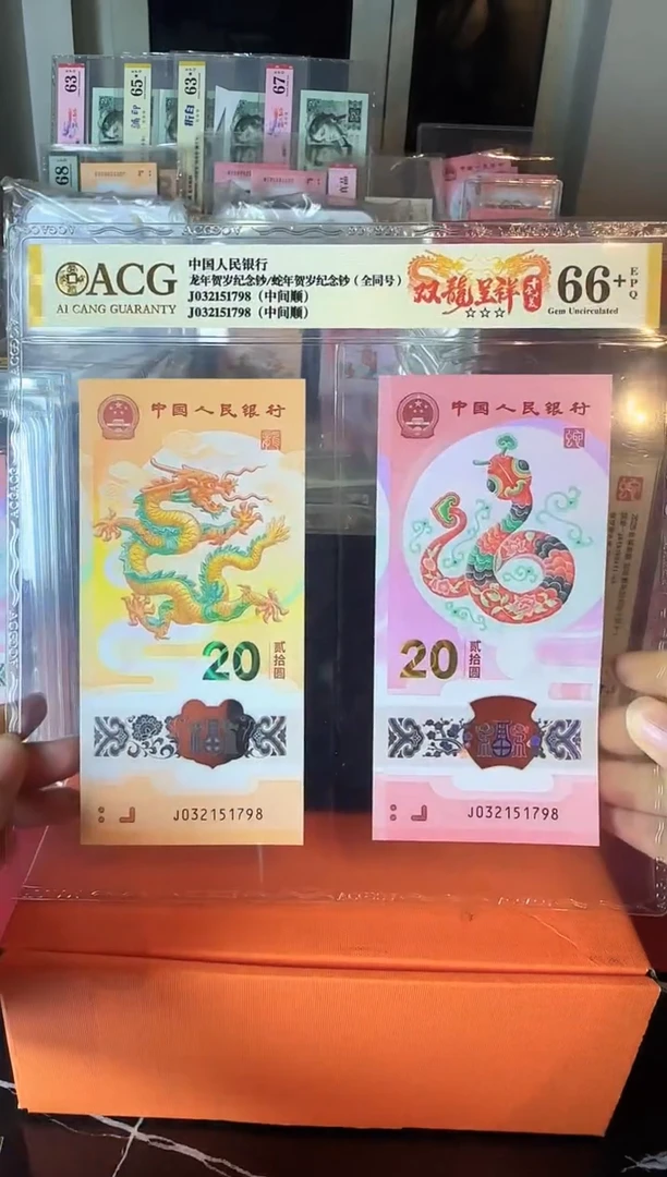塑料2025 龙蛇全同号一对 啊啊啊如图