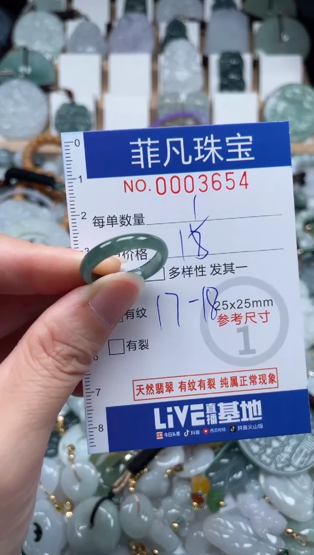 翡翠未镶嵌颈饰00..3654