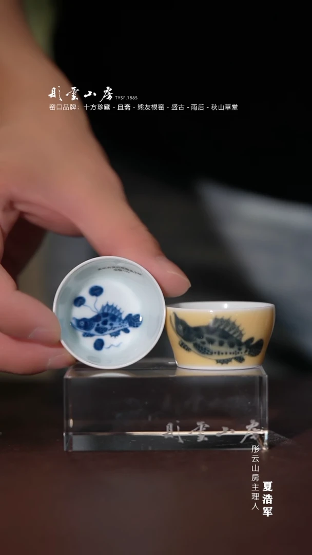 瓷片素和  鸡油黄鱼藻对杯