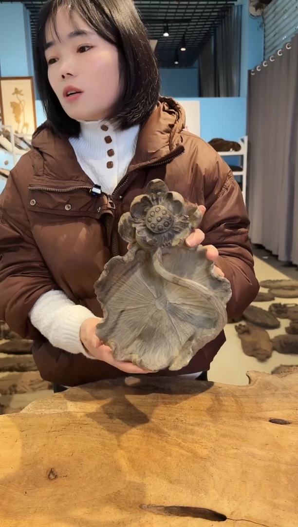 木969号乌木金丝楠果盘