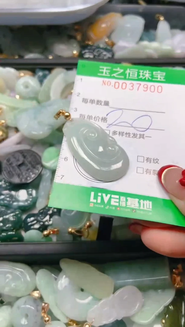 【闪购商品】翡翠颈饰未镶嵌闪购0037900