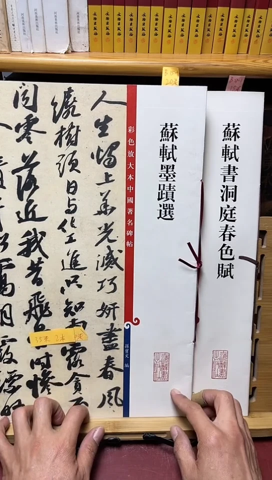 苏轼书洞庭春色赋B21-1苏轼墨迹选B15-1共2本