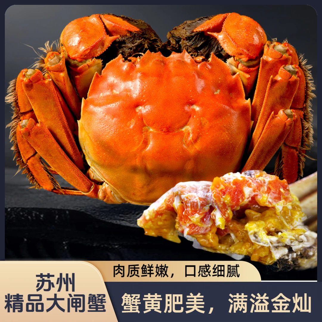 【活蟹】正宗苏州精品大闸蟹全母蟹2.1-2.3两8只+2只到手10只精品大闸蟹