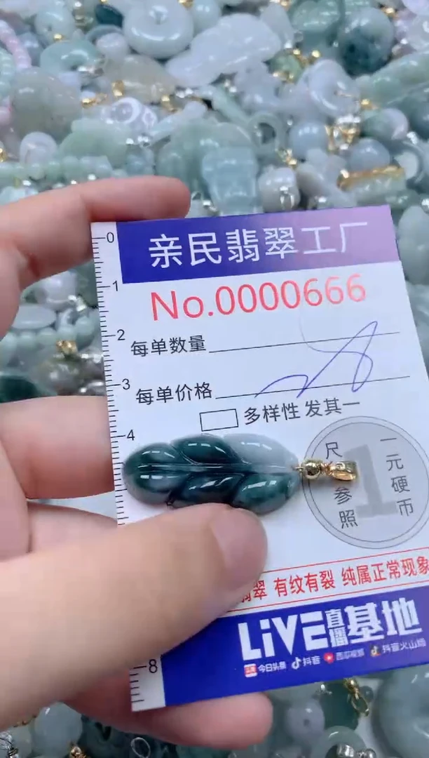 颈饰未镶嵌翡翠666