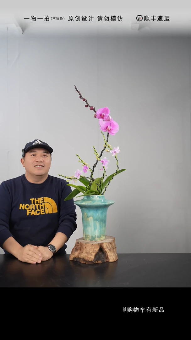 【闪购商品】039号链接【一物一拍】艺术盆景