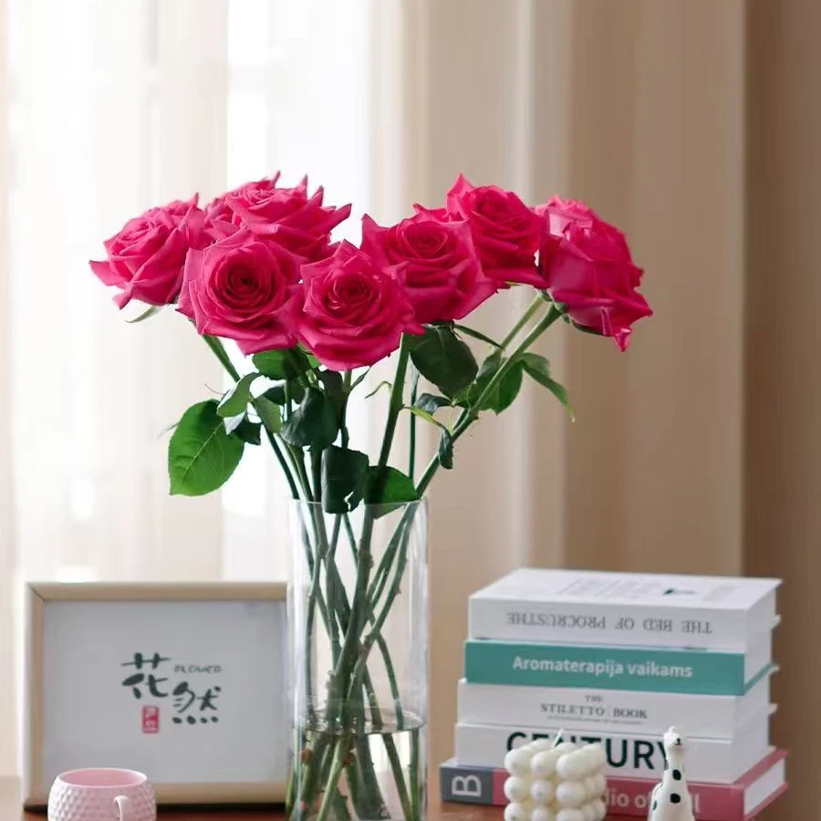 【花卉专属】弗洛伊德玫瑰 店铺现货