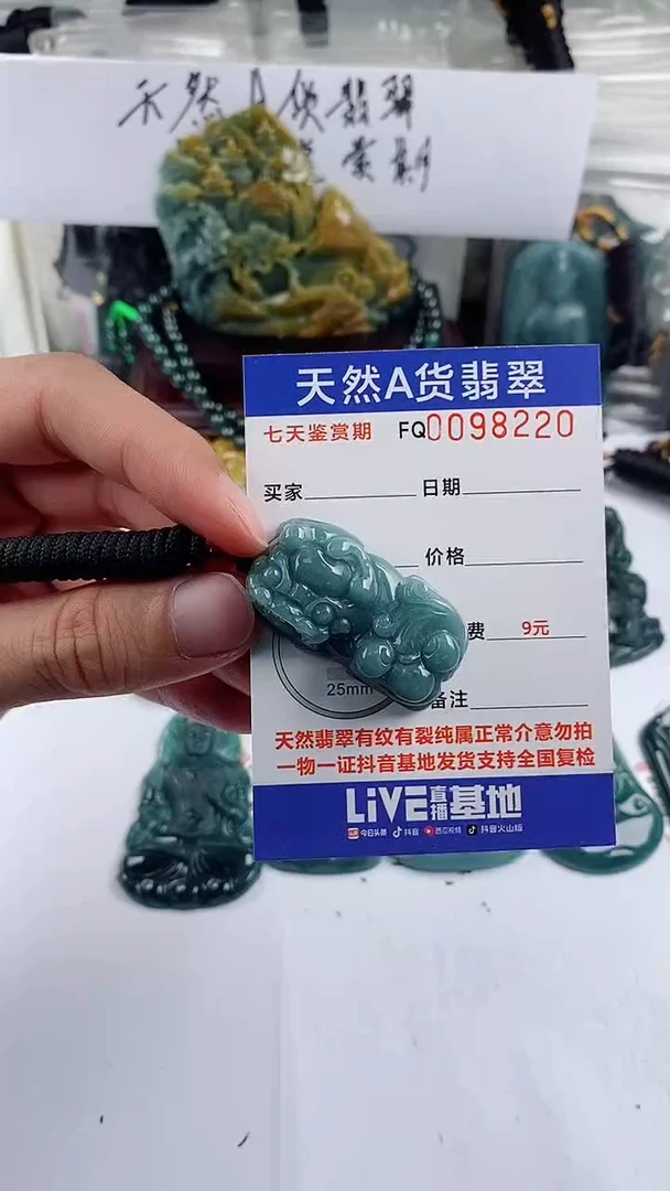 【闪购商品】翡翠颈饰未镶嵌