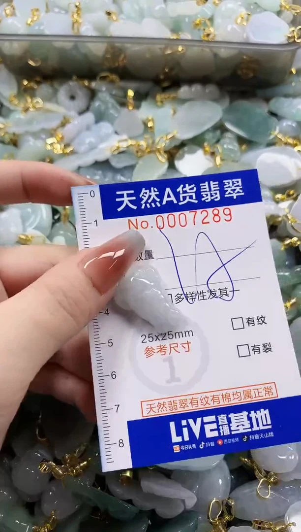 颈饰未镶嵌翡翠天然A货翡翠