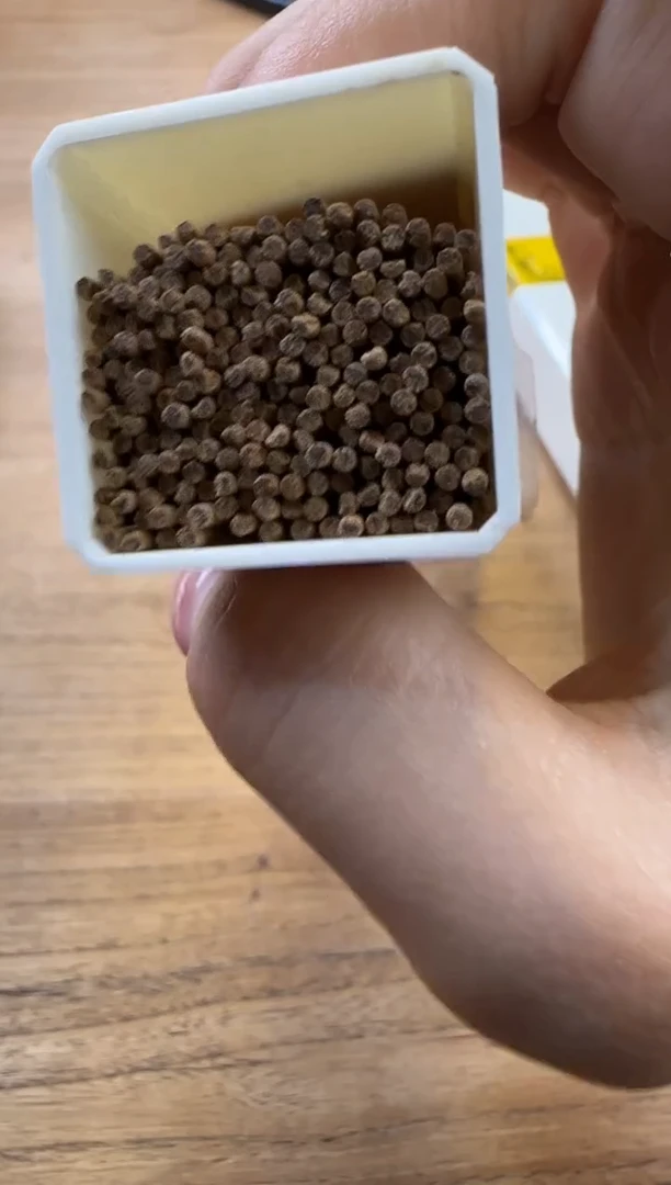 线香81号 海南白棋楠 50克