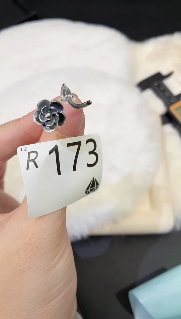 无925银多样性发一R173