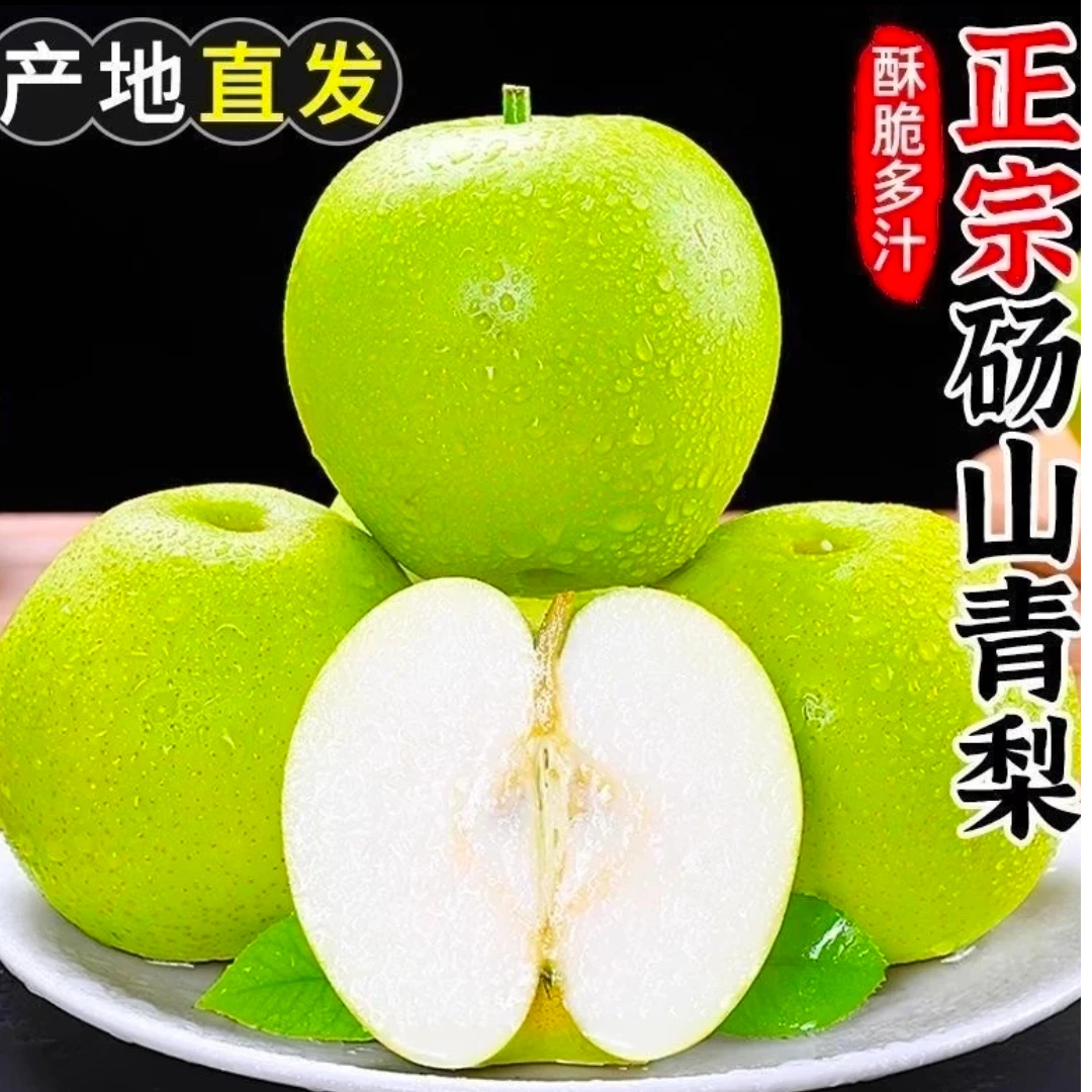 【炸线哥专属】正宗砀山青梨4.5斤酥脆多汁  YWX