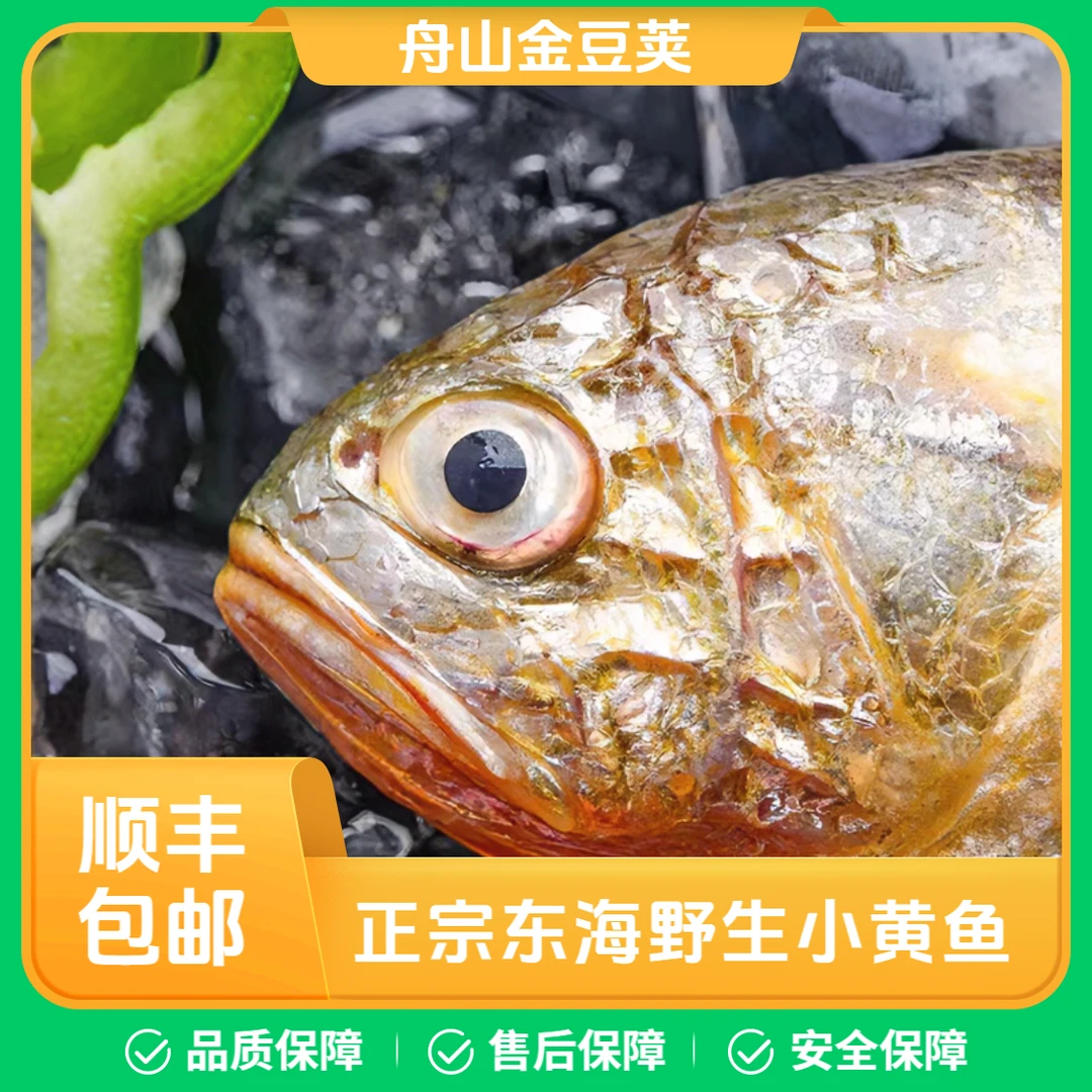 【速冻锁鲜】细鳞东海野生小黄鱼深海鱼7条装/斤舟山发货