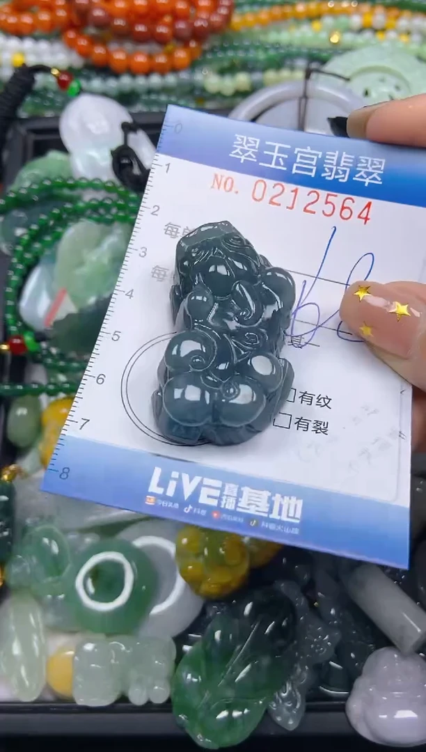 颈饰未镶嵌翡翠闪购C0212564