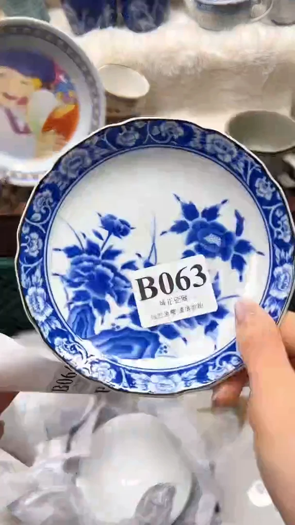 【闪购商品】瓷片          B063