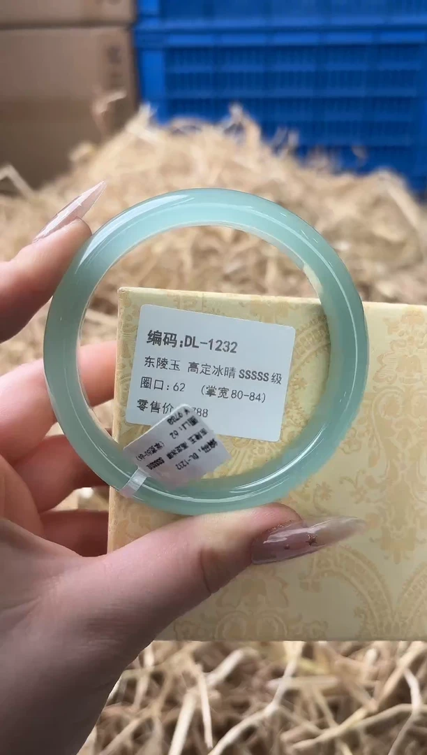 未镶嵌手镯石英质玉DL-1232