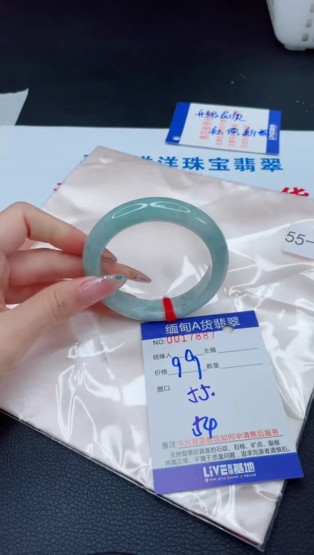 未镶嵌手镯翡翠1  4