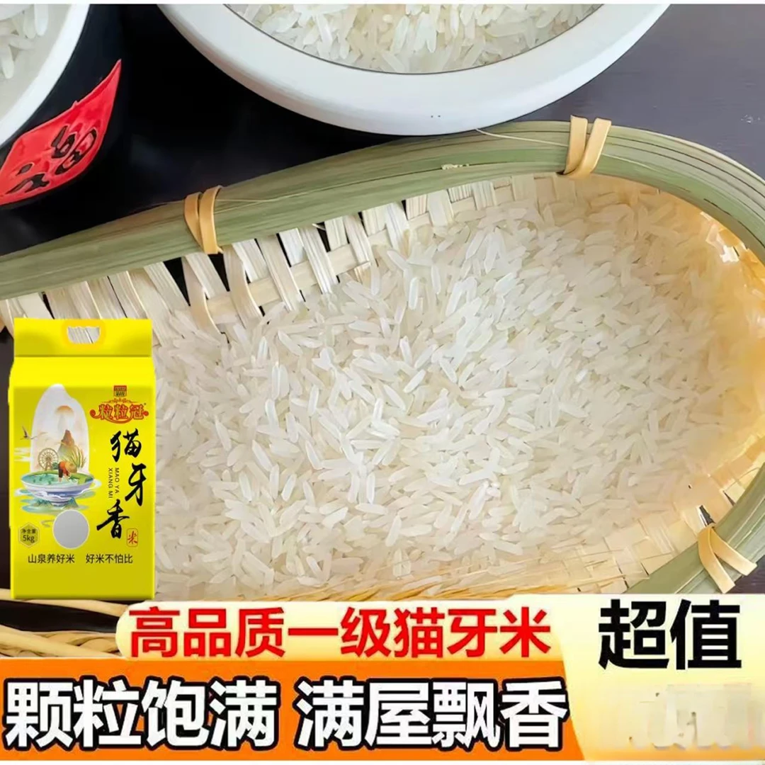 正宗广西上林长粒猫牙米真空包装清香软糯蒸煮皆宜新米5斤/20斤