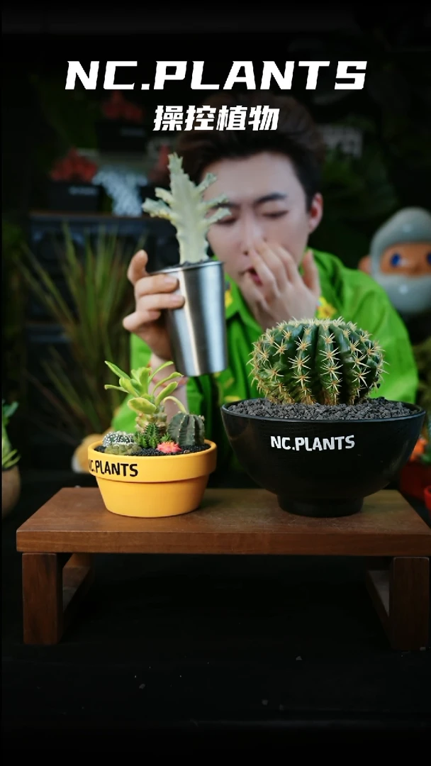 无花朵.小白龙（新品福利）