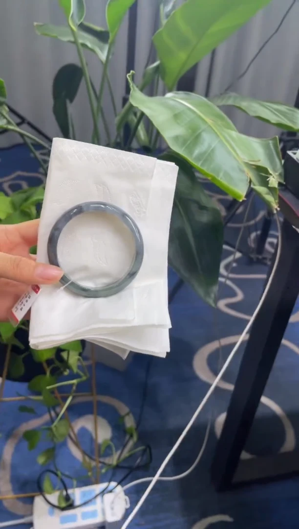 未镶嵌手镯翡翠4587*****