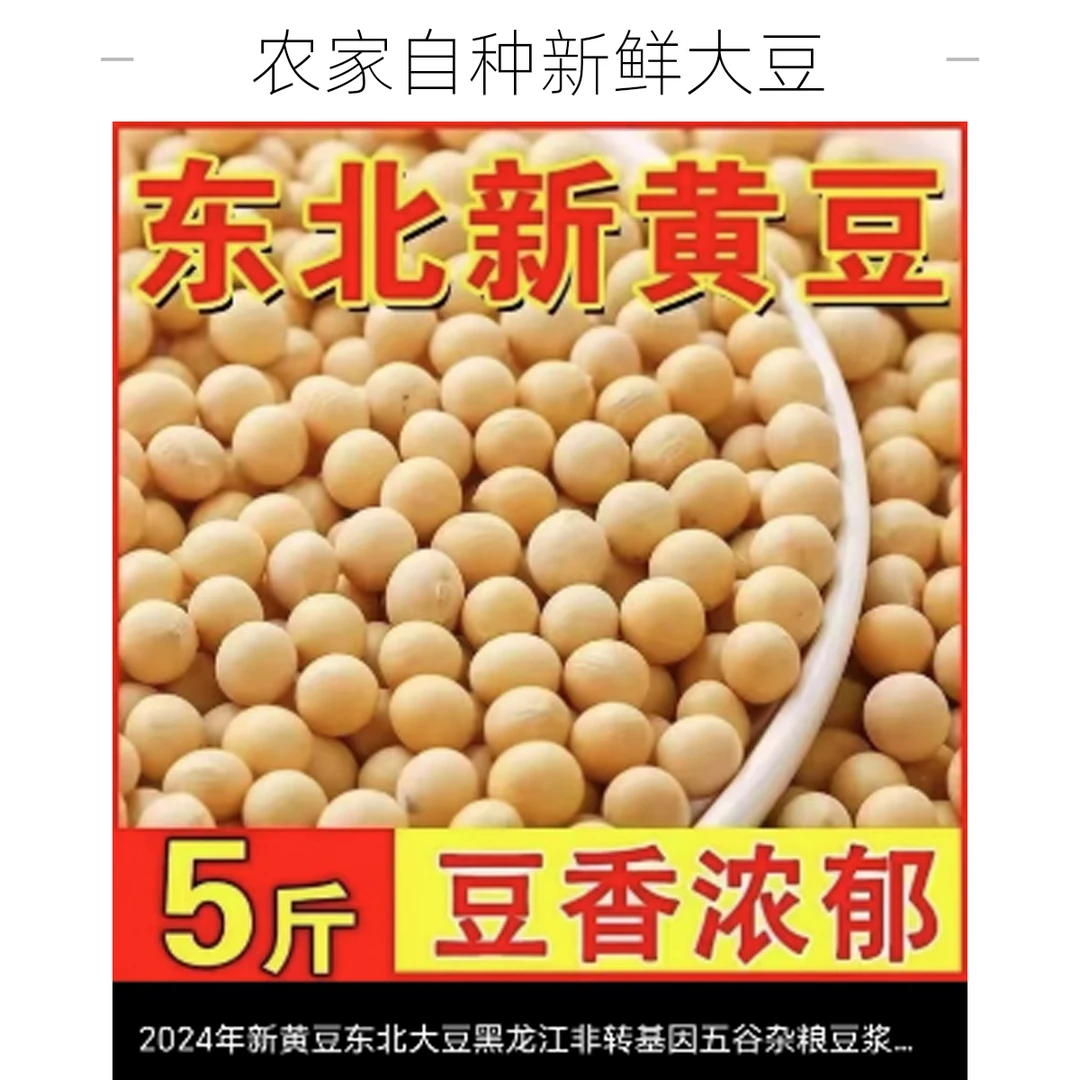 24年新黄豆5斤装黑龙江高蛋白豆腐大豆专用豆浆豆芽农家非转基因