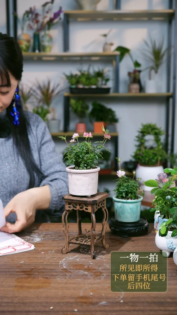 【闪购商品】99==1773浅粉月季+海马几