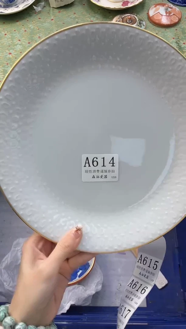 【闪购商品】瓷片          A614