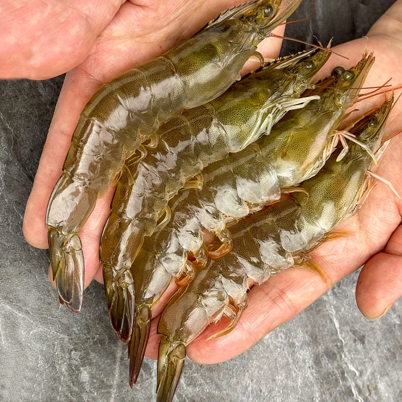 【每日新鲜】基围虾 500g