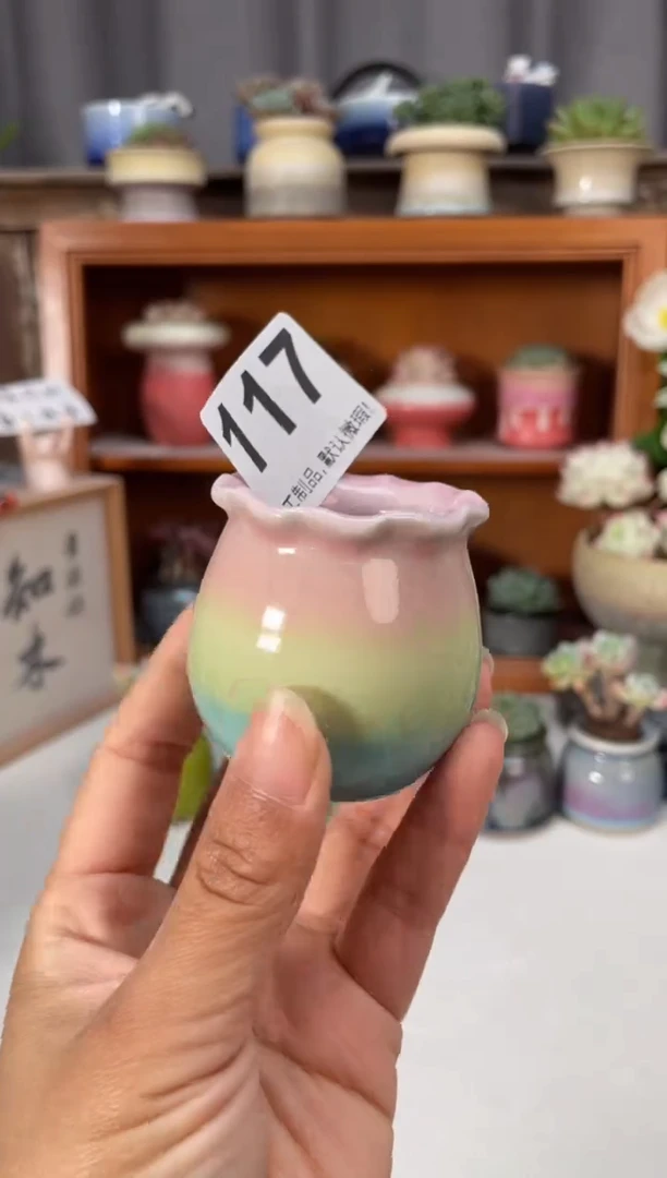 瓷片117小芳直播编号