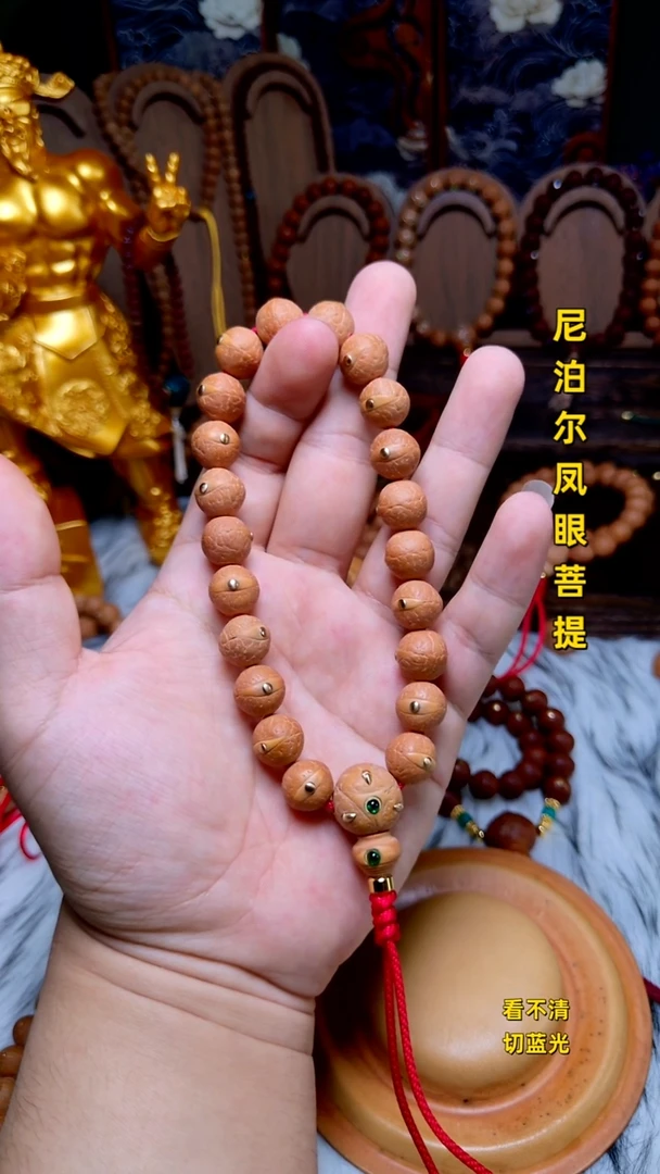 手串凤眼菩提新籽镶嵌12