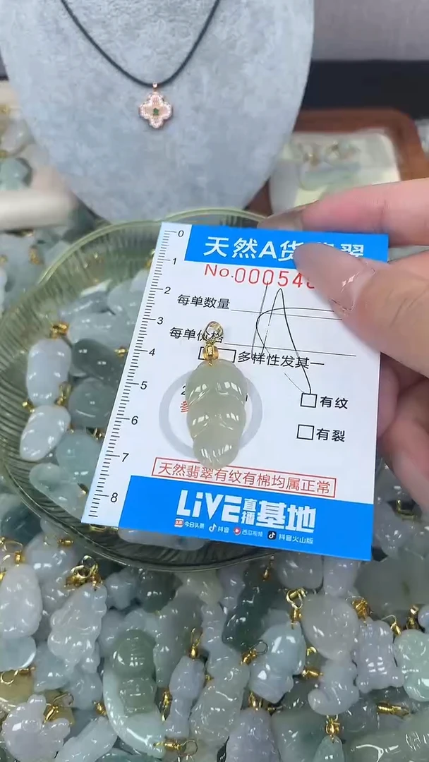 翡翠未镶嵌颈饰净货挂件-5481