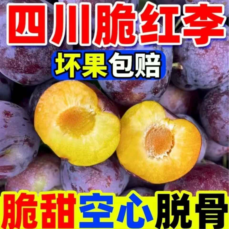 四川高山脆红李小脆红新鲜现摘应季水果黄肉脱骨脆甜多汁H
