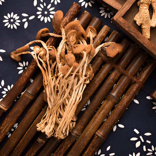 新疆天山茶树菇-包邮全国