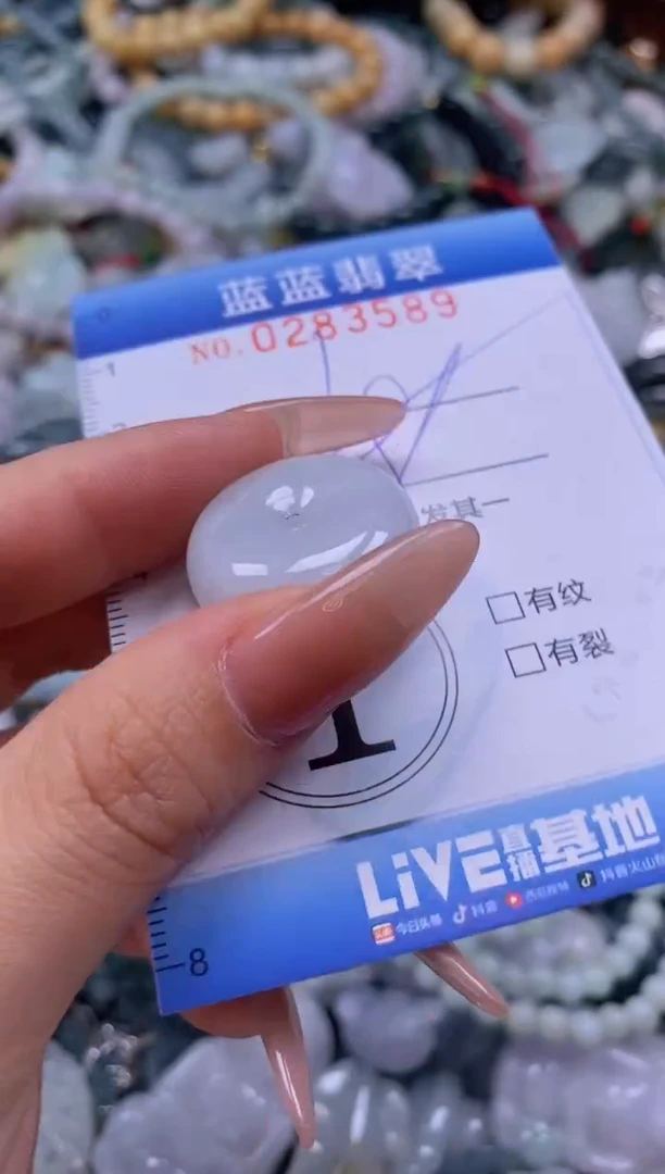 翡翠未镶嵌颈饰闪购0283589
