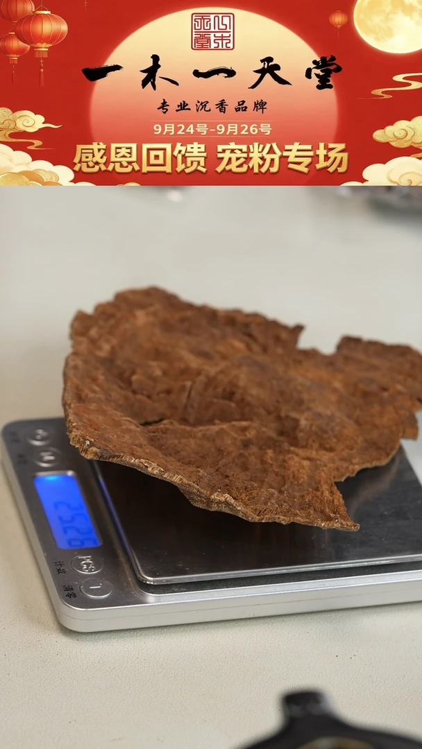 沉香沉香碎屑海南料 25.26g