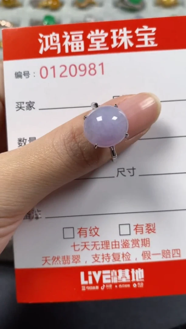 银S925镶嵌戒指翡翠0981